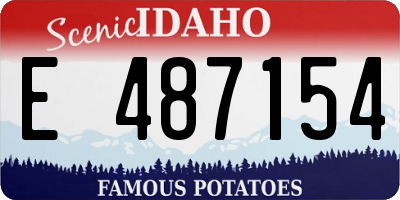 ID license plate E487154