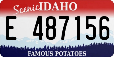 ID license plate E487156