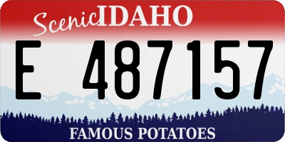 ID license plate E487157