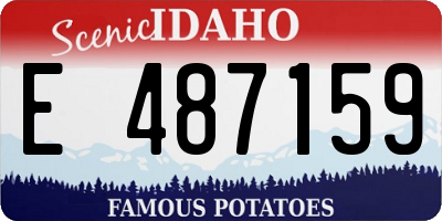 ID license plate E487159