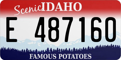 ID license plate E487160