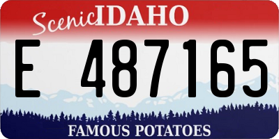 ID license plate E487165