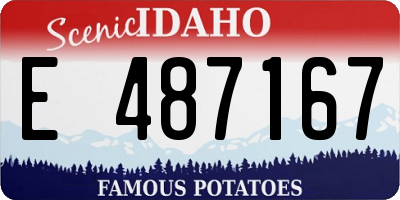 ID license plate E487167