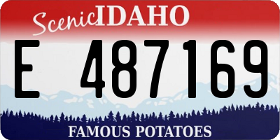 ID license plate E487169