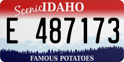 ID license plate E487173