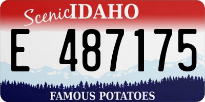 ID license plate E487175