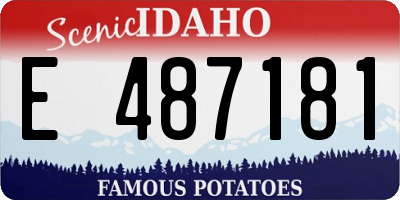 ID license plate E487181