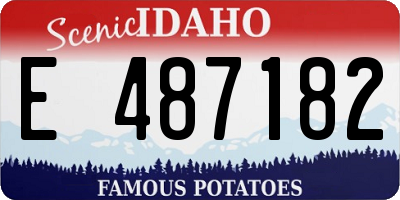ID license plate E487182