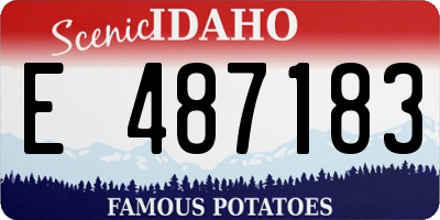 ID license plate E487183