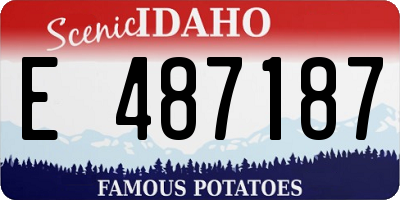 ID license plate E487187