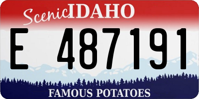 ID license plate E487191