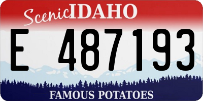 ID license plate E487193