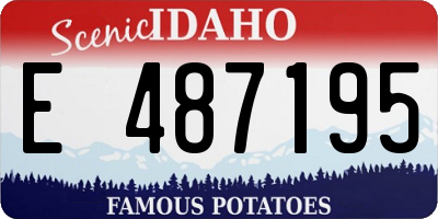 ID license plate E487195