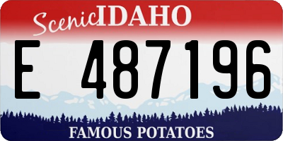 ID license plate E487196
