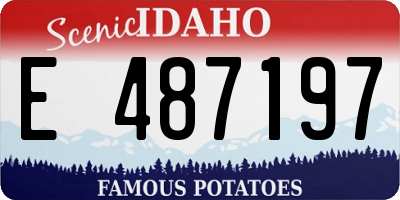 ID license plate E487197