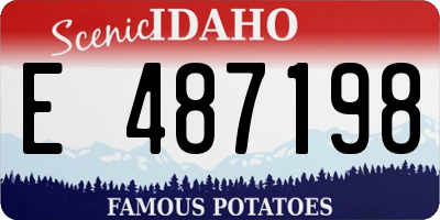 ID license plate E487198