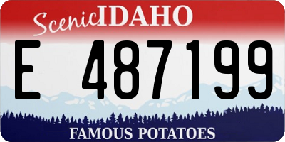 ID license plate E487199