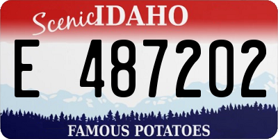 ID license plate E487202