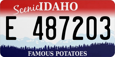 ID license plate E487203