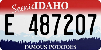ID license plate E487207
