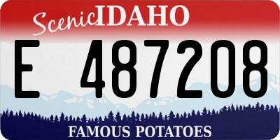 ID license plate E487208