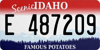 ID license plate E487209