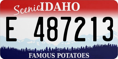 ID license plate E487213
