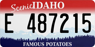 ID license plate E487215
