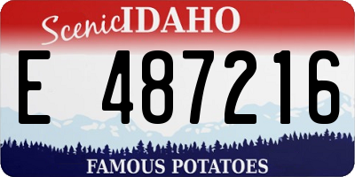 ID license plate E487216