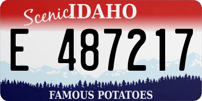 ID license plate E487217