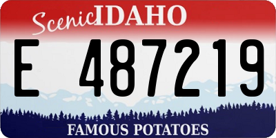 ID license plate E487219