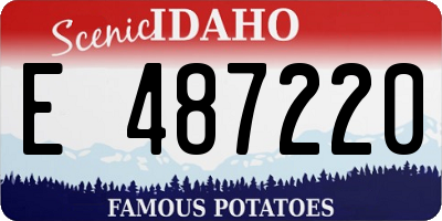 ID license plate E487220