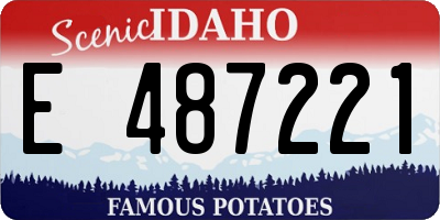 ID license plate E487221