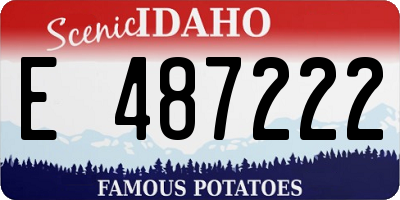 ID license plate E487222