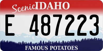 ID license plate E487223