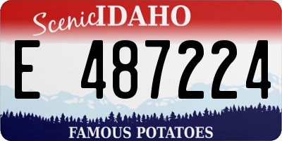 ID license plate E487224