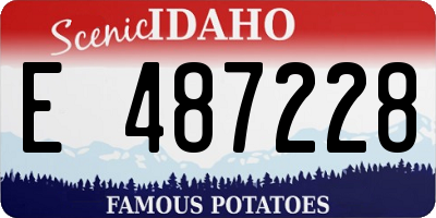 ID license plate E487228