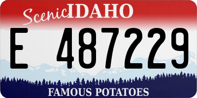 ID license plate E487229