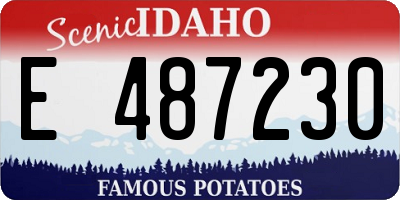 ID license plate E487230