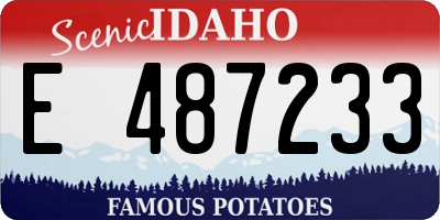 ID license plate E487233