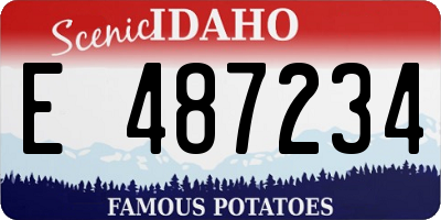 ID license plate E487234