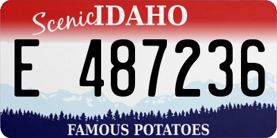 ID license plate E487236