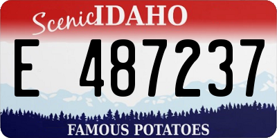 ID license plate E487237
