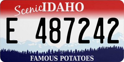 ID license plate E487242