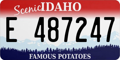 ID license plate E487247