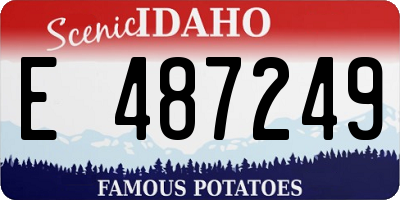 ID license plate E487249