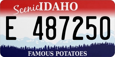 ID license plate E487250