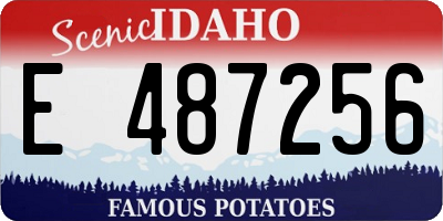 ID license plate E487256