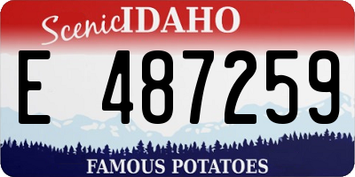 ID license plate E487259