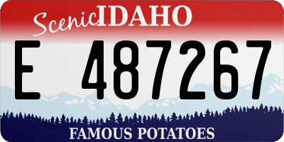 ID license plate E487267